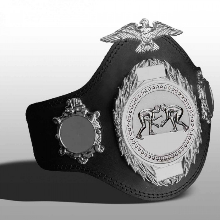 GRAPPLING CHAMPIONSHIP BELT-PLT288/S/GRAPS-4 COLOURS